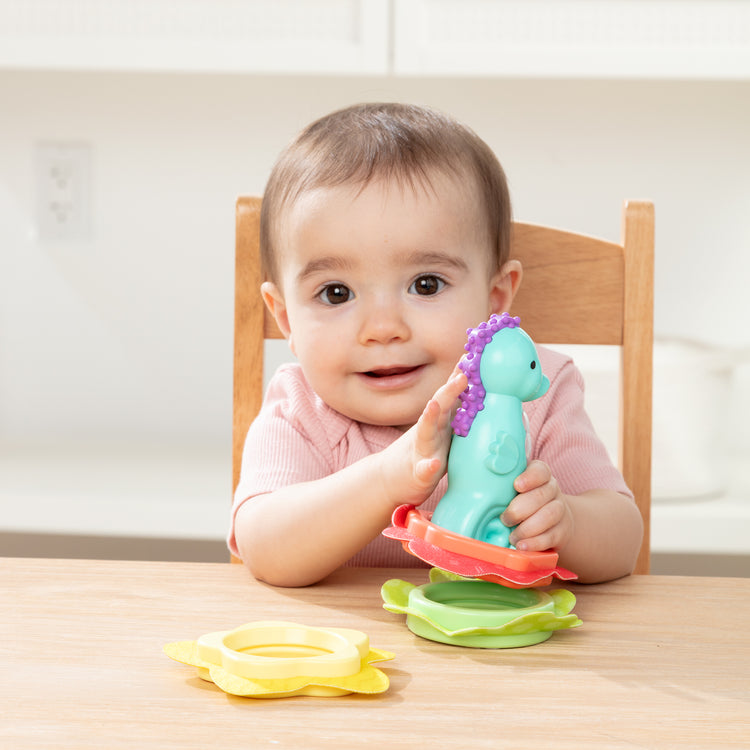 Ocean Waves Press and Stack Seahorse