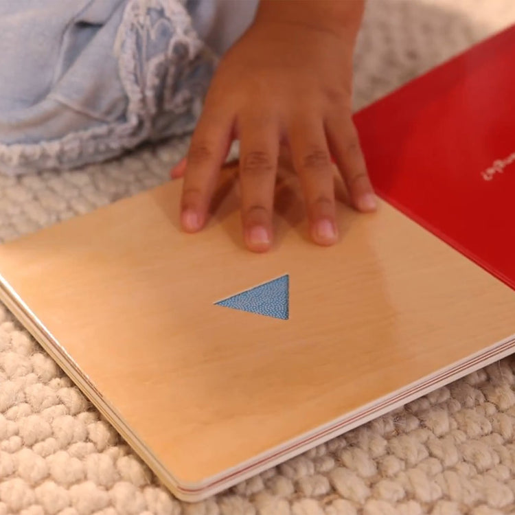 What Do You See? Lift-The-Flap Blocks Book