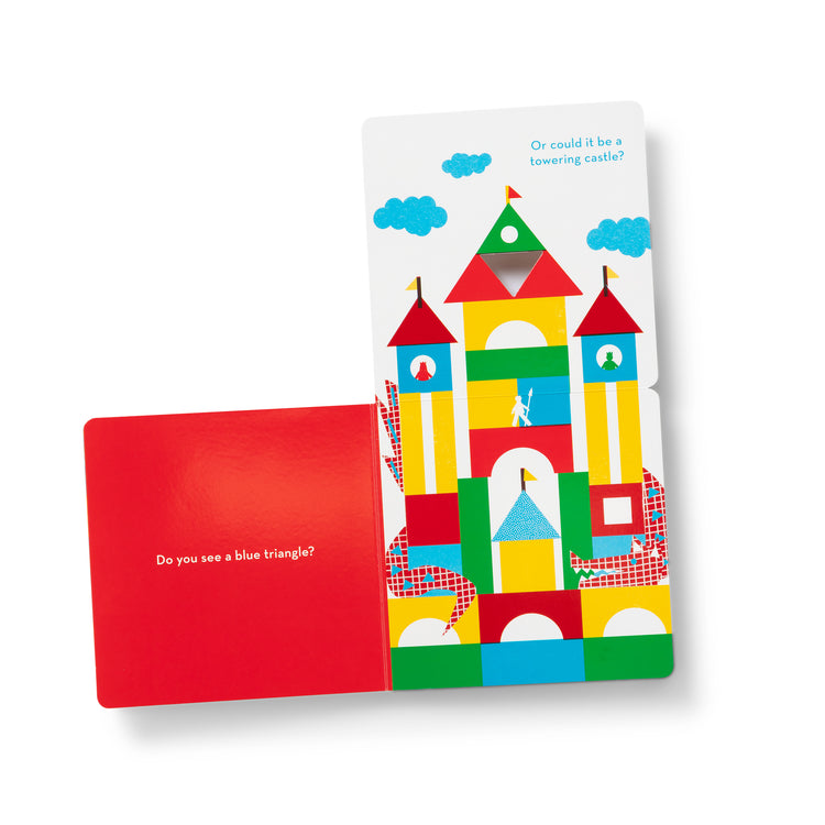 What Do You See? Lift-The-Flap Blocks Book