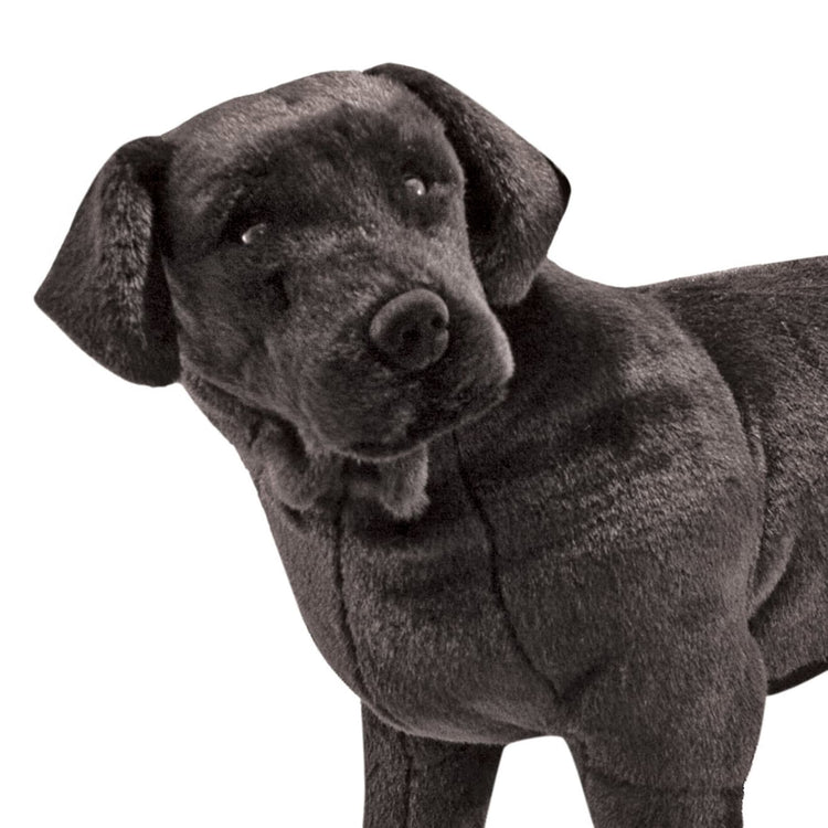 An assembled or decorated the Melissa & Doug Giant Black Lab - Lifelike Stuffed Animal Dog (over 2 feet tall)